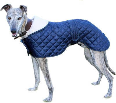 Cosipet anorak diseñado específicamente para galgos