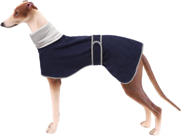 abrigos baratos para galgos impermeables y cómodos