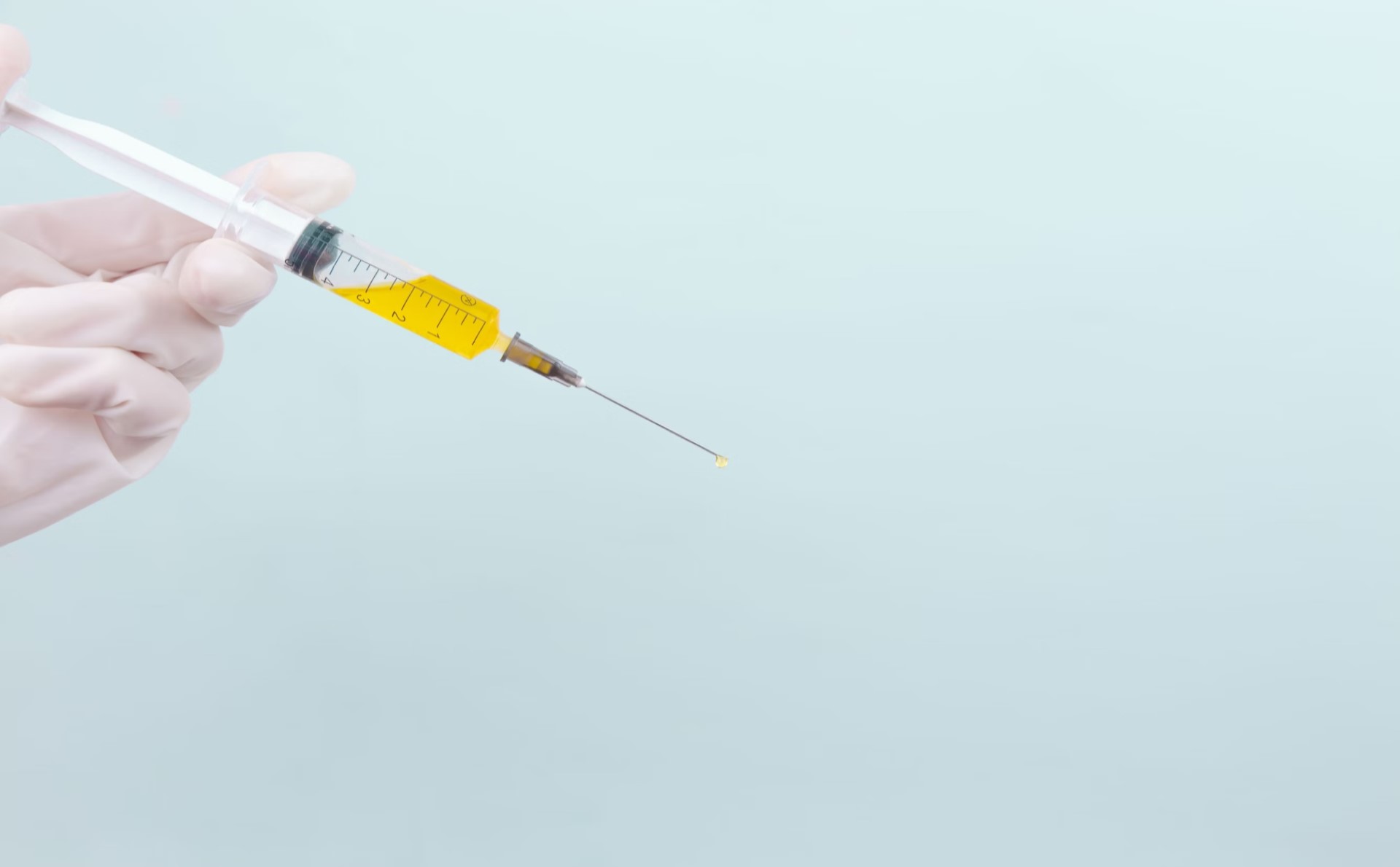 perro con leishmaniasis — síntomas cutáneos, tratamiento y prevención