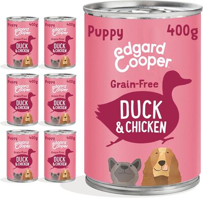 Edgard & Cooper Puppy
